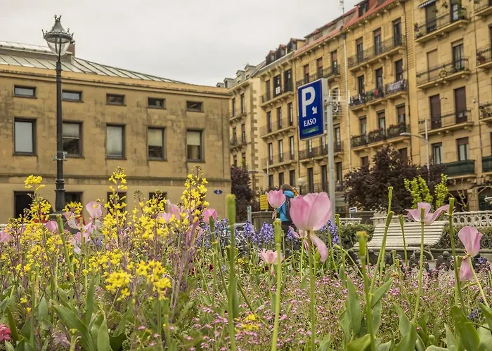 Kresala - Basque San Sebastián